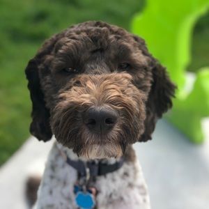 Meet your Posher, Naomi